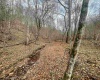 TBD Sand Fork Road, Walkersville, West Virginia 26447, ,Lots/land,For Sale,Sand Fork,10162503