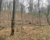 TBD Sand Fork Road, Walkersville, West Virginia 26447, ,Lots/land,For Sale,Sand Fork,10162503