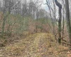 TBD Sand Fork Road, Walkersville, West Virginia 26447, ,Lots/land,For Sale,Sand Fork,10162503