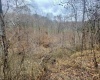 TBD Sand Fork Road, Walkersville, West Virginia 26447, ,Lots/land,For Sale,Sand Fork,10162503