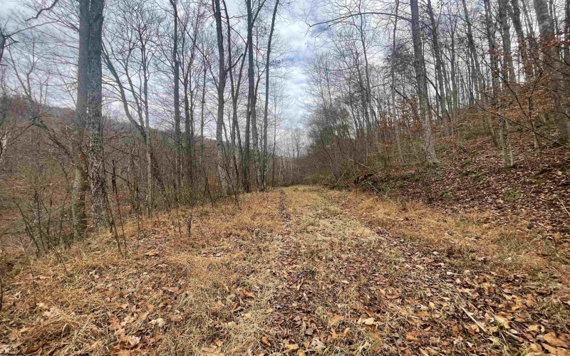 TBD Sand Fork Road, Walkersville, West Virginia 26447, ,Lots/land,For Sale,Sand Fork,10162503