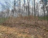 TBD Sand Fork Road, Walkersville, West Virginia 26447, ,Lots/land,For Sale,Sand Fork,10162503