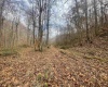 TBD Sand Fork Road, Walkersville, West Virginia 26447, ,Lots/land,For Sale,Sand Fork,10162503
