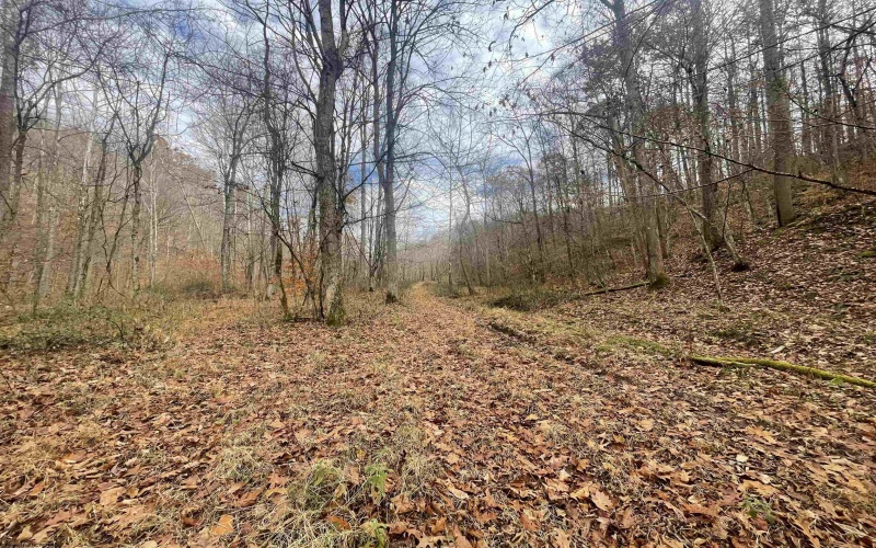 TBD Sand Fork Road, Walkersville, West Virginia 26447, ,Lots/land,For Sale,Sand Fork,10162503