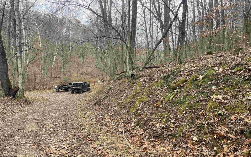 TBD Sand Fork Road, Walkersville, West Virginia 26447, ,Lots/land,For Sale,Sand Fork,10162503