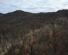 TBD Sand Fork Road, Walkersville, West Virginia 26447, ,Lots/land,For Sale,Sand Fork,10162503