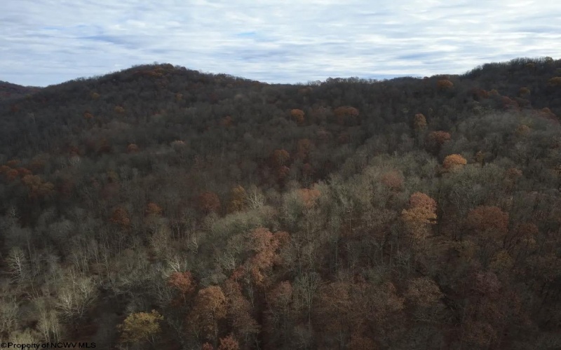 TBD Sand Fork Road, Walkersville, West Virginia 26447, ,Lots/land,For Sale,Sand Fork,10162503