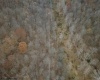 TBD Sand Fork Road, Walkersville, West Virginia 26447, ,Lots/land,For Sale,Sand Fork,10162503
