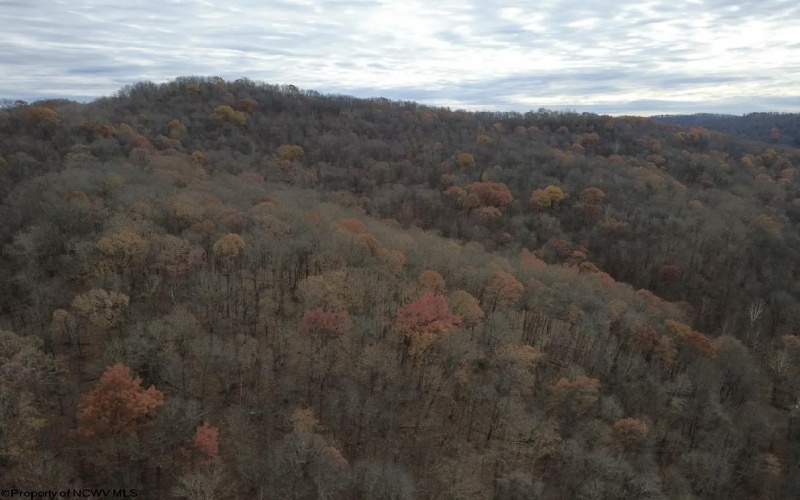 TBD Sand Fork Road, Walkersville, West Virginia 26447, ,Lots/land,For Sale,Sand Fork,10162503