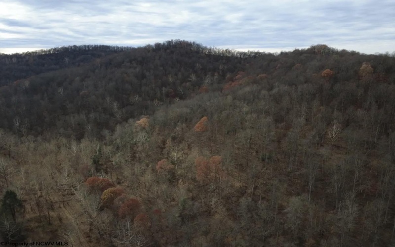 TBD Sand Fork Road, Walkersville, West Virginia 26447, ,Lots/land,For Sale,Sand Fork,10162503
