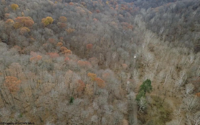 TBD Sand Fork Road, Walkersville, West Virginia 26447, ,Lots/land,For Sale,Sand Fork,10162503