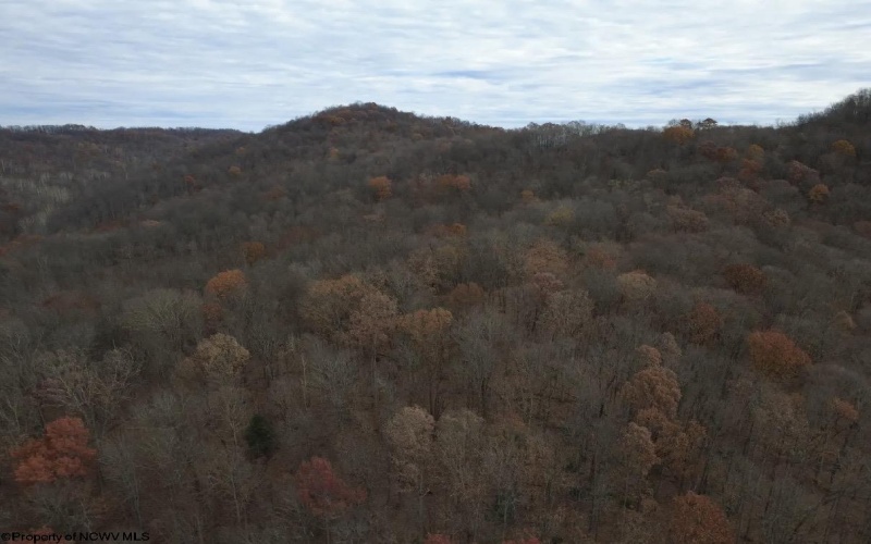TBD Sand Fork Road, Walkersville, West Virginia 26447, ,Lots/land,For Sale,Sand Fork,10162503