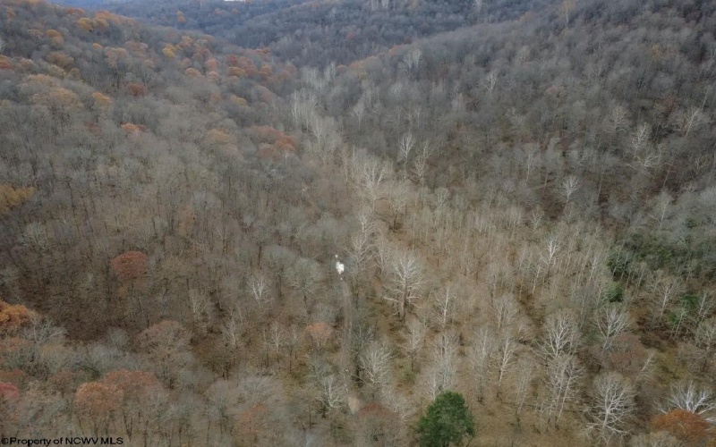 TBD Sand Fork Road, Walkersville, West Virginia 26447, ,Lots/land,For Sale,Sand Fork,10162503