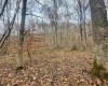 TBD Sand Fork Road, Walkersville, West Virginia 26447, ,Lots/land,For Sale,Sand Fork,10162503
