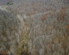 TBD Sand Fork Road, Walkersville, West Virginia 26447, ,Lots/land,For Sale,Sand Fork,10162503
