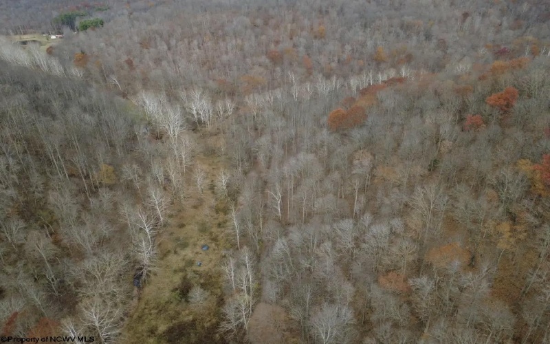 TBD Sand Fork Road, Walkersville, West Virginia 26447, ,Lots/land,For Sale,Sand Fork,10162503
