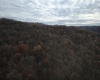TBD Sand Fork Road, Walkersville, West Virginia 26447, ,Lots/land,For Sale,Sand Fork,10162503