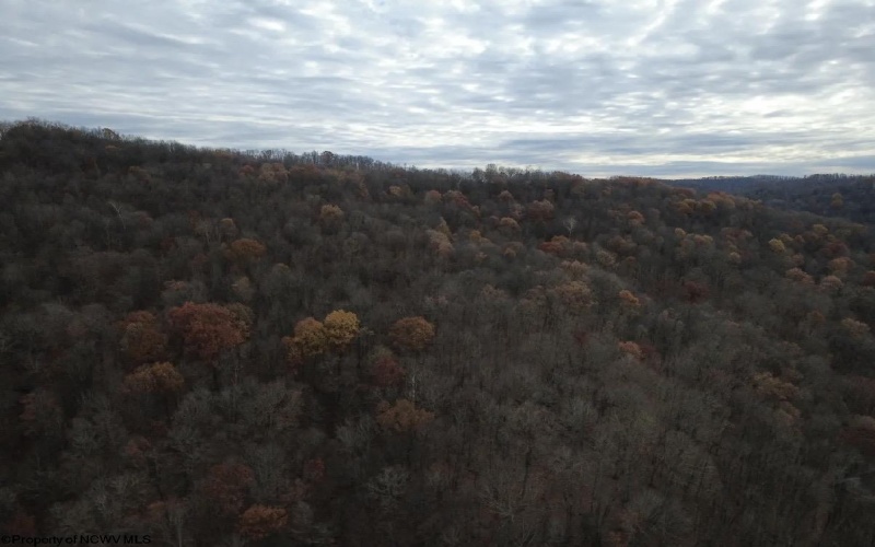 TBD Sand Fork Road, Walkersville, West Virginia 26447, ,Lots/land,For Sale,Sand Fork,10162503