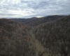 TBD Sand Fork Road, Walkersville, West Virginia 26447, ,Lots/land,For Sale,Sand Fork,10162503