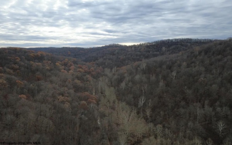 TBD Sand Fork Road, Walkersville, West Virginia 26447, ,Lots/land,For Sale,Sand Fork,10162503