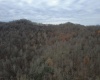 TBD Sand Fork Road, Walkersville, West Virginia 26447, ,Lots/land,For Sale,Sand Fork,10162503