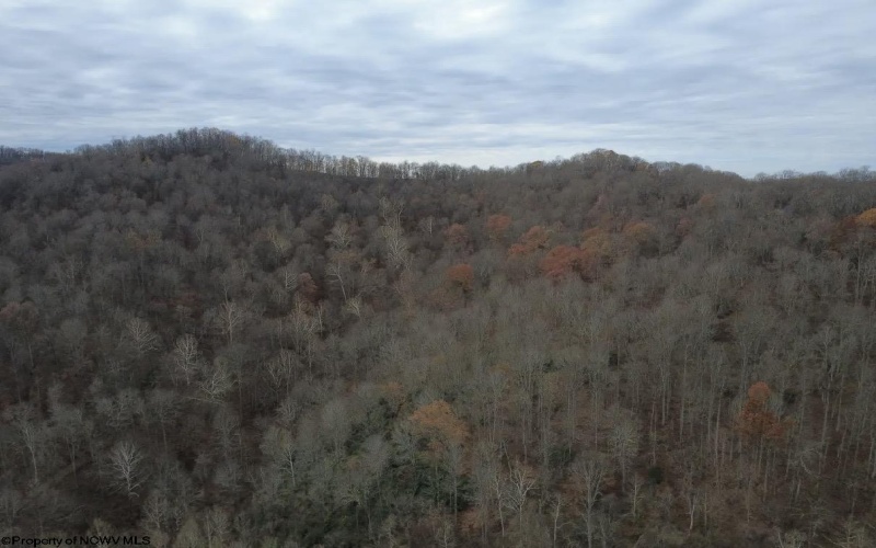 TBD Sand Fork Road, Walkersville, West Virginia 26447, ,Lots/land,For Sale,Sand Fork,10162503
