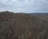 TBD Sand Fork Road, Walkersville, West Virginia 26447, ,Lots/land,For Sale,Sand Fork,10162503