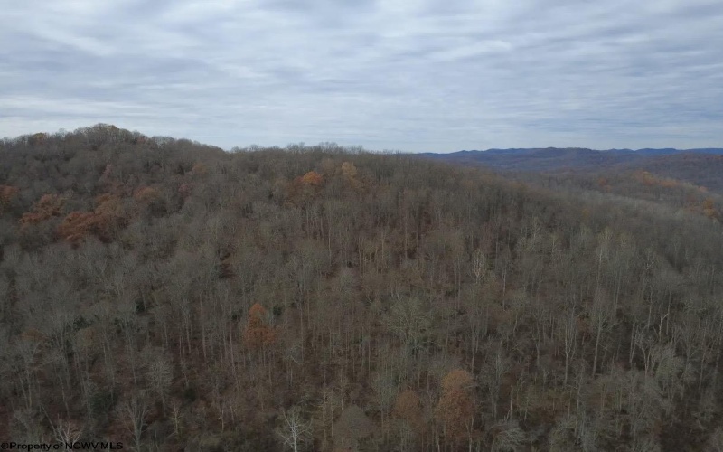 TBD Sand Fork Road, Walkersville, West Virginia 26447, ,Lots/land,For Sale,Sand Fork,10162503