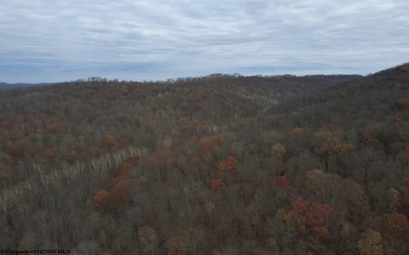 TBD Sand Fork Road, Walkersville, West Virginia 26447, ,Lots/land,For Sale,Sand Fork,10162503