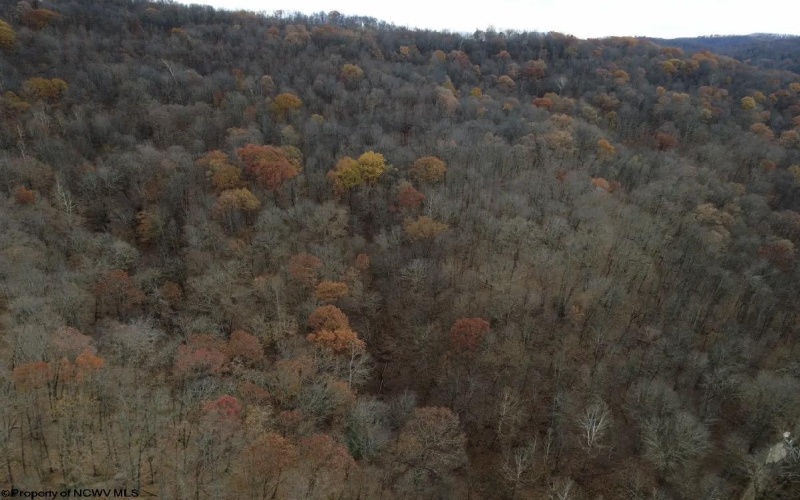 TBD Sand Fork Road, Walkersville, West Virginia 26447, ,Lots/land,For Sale,Sand Fork,10162503