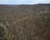 TBD Sand Fork Road, Walkersville, West Virginia 26447, ,Lots/land,For Sale,Sand Fork,10162503