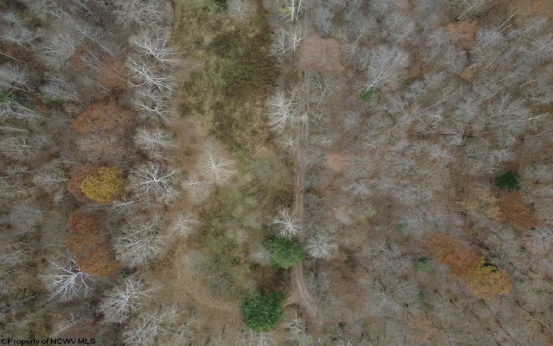 TBD Sand Fork Road, Walkersville, West Virginia 26447, ,Lots/land,For Sale,Sand Fork,10162503