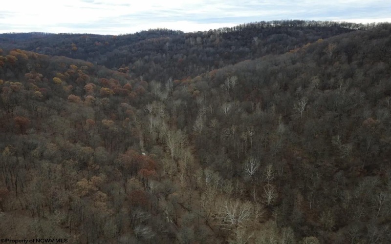 TBD Sand Fork Road, Walkersville, West Virginia 26447, ,Lots/land,For Sale,Sand Fork,10162503