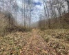 TBD Sand Fork Road, Walkersville, West Virginia 26447, ,Lots/land,For Sale,Sand Fork,10162503