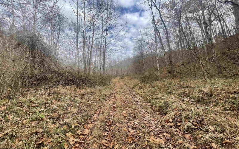TBD Sand Fork Road, Walkersville, West Virginia 26447, ,Lots/land,For Sale,Sand Fork,10162503