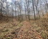TBD Sand Fork Road, Walkersville, West Virginia 26447, ,Lots/land,For Sale,Sand Fork,10162503