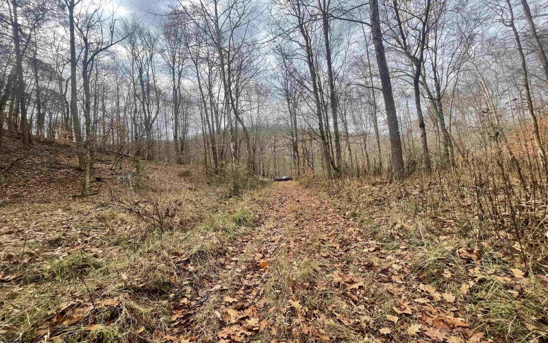 TBD Sand Fork Road, Walkersville, West Virginia 26447, ,Lots/land,For Sale,Sand Fork,10162503
