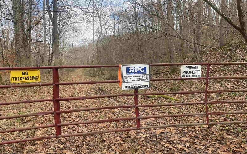 TBD Sand Fork Road, Walkersville, West Virginia 26447, ,Lots/land,For Sale,Sand Fork,10162503