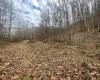 TBD Sand Fork Road, Walkersville, West Virginia 26447, ,Lots/land,For Sale,Sand Fork,10162503