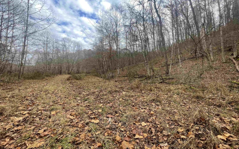 TBD Sand Fork Road, Walkersville, West Virginia 26447, ,Lots/land,For Sale,Sand Fork,10162503