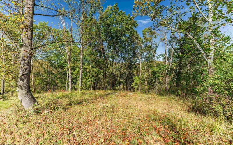 118 Marco Polo Drive, Morgantown, West Virginia 26508, ,Lots/land,For Sale,Marco Polo,10164861