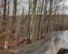 99 Fern Lane, Davis, West Virginia 26260, ,Lots/land,For Sale,Fern,10164854