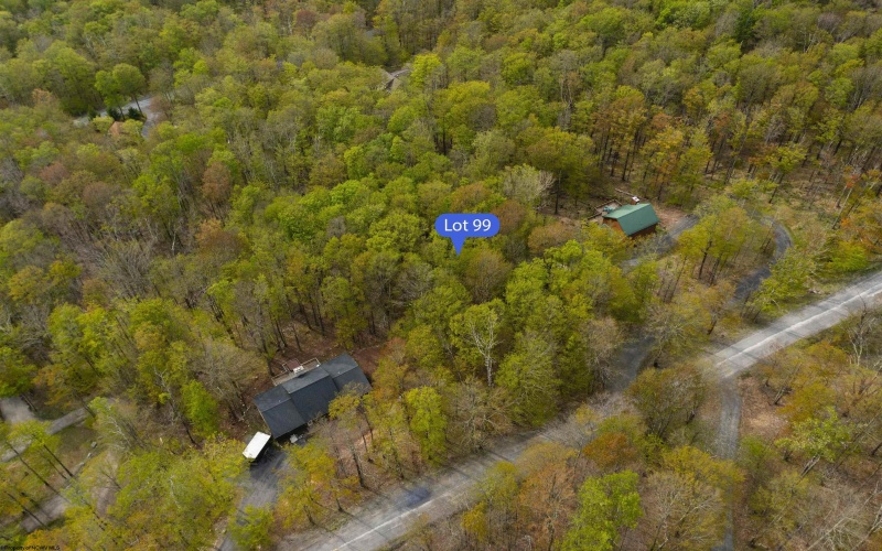99 Fern Lane, Davis, West Virginia 26260, ,Lots/land,For Sale,Fern,10164854