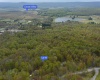 99 Fern Lane, Davis, West Virginia 26260, ,Lots/land,For Sale,Fern,10164854
