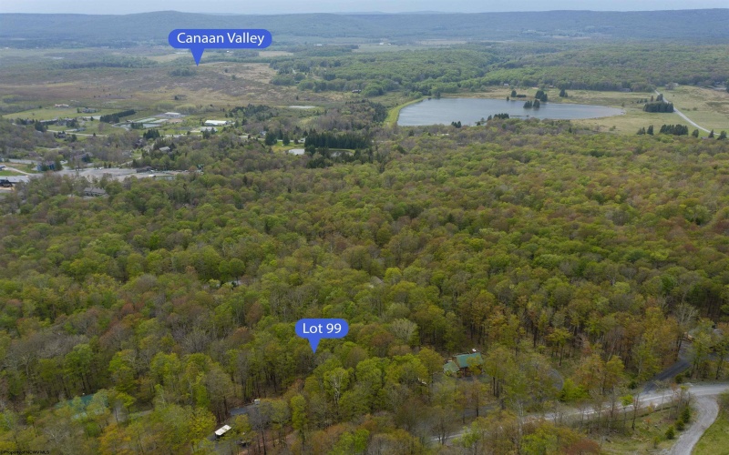 99 Fern Lane, Davis, West Virginia 26260, ,Lots/land,For Sale,Fern,10164854