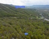 99 Fern Lane, Davis, West Virginia 26260, ,Lots/land,For Sale,Fern,10164854