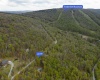 99 Fern Lane, Davis, West Virginia 26260, ,Lots/land,For Sale,Fern,10164854