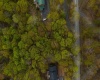 99 Fern Lane, Davis, West Virginia 26260, ,Lots/land,For Sale,Fern,10164854