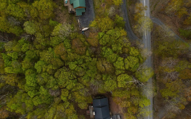 99 Fern Lane, Davis, West Virginia 26260, ,Lots/land,For Sale,Fern,10164854
