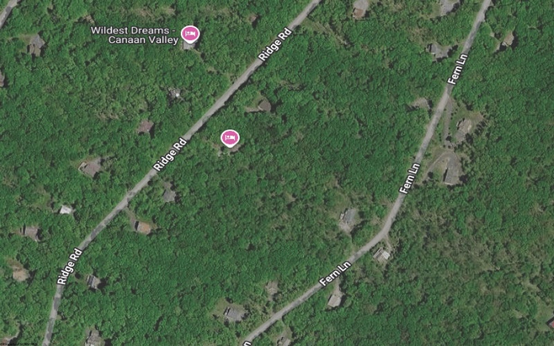 99 Fern Lane, Davis, West Virginia 26260, ,Lots/land,For Sale,Fern,10164854